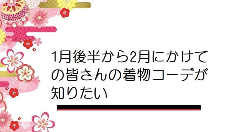 1月後半から2月にかけての皆さんの着物コーデが知りたい