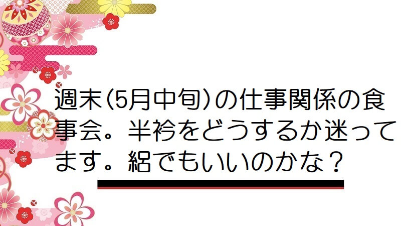 週末(5月中旬)の仕事関係の食事会。半衿をどうするか迷ってます。絽でもいいのかな？