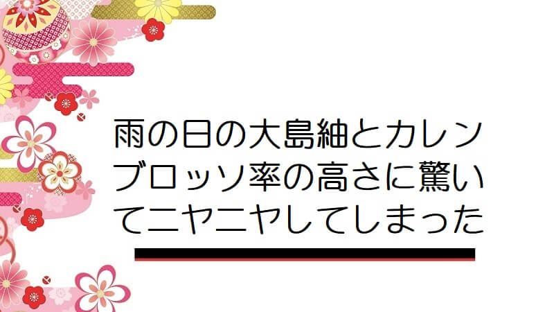 雨の日の大島紬とカレンブロッソ率の高さに驚いてニヤニヤしてしまった