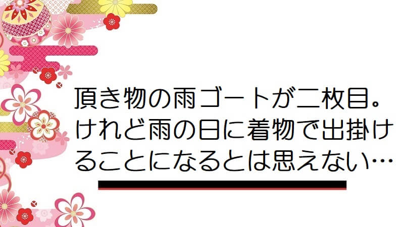 頂き物の雨ゴートが二枚目。けれど雨の日に着物で出掛けることになるとは思えない…