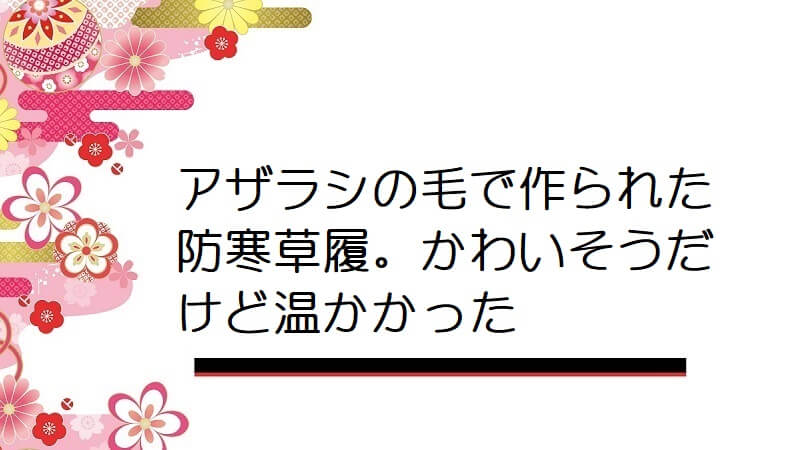 アザラシの毛で作られた防寒草履。かわいそうだけど温かかった