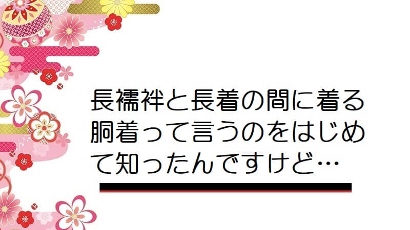 長襦袢と長着の間に着る胴着って言うのをはじめて知ったんですけど…【男の着物】