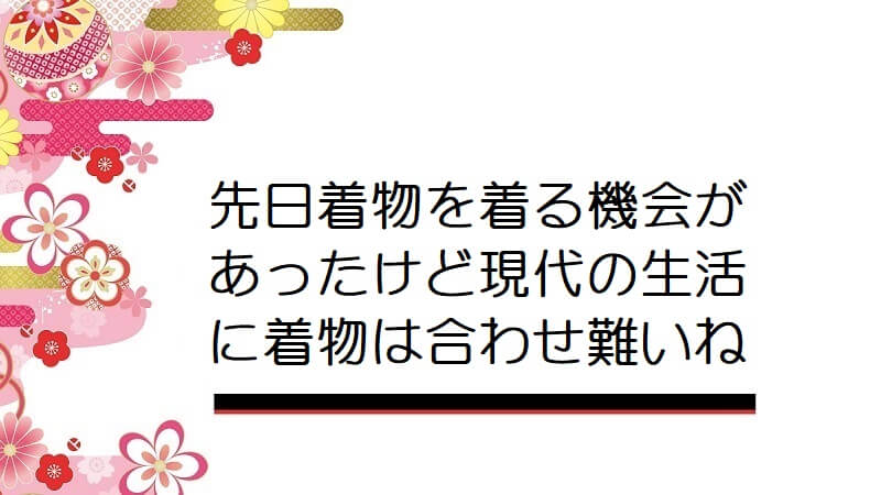 先日着物を着る機会があったけど現代の生活に着物は合わせ難いね