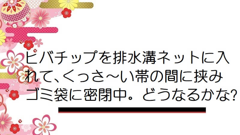 ヒバチップを排水溝ネットに入れて､くっさ～い帯の間に挟みゴミ袋に密閉中。どうなるかな?