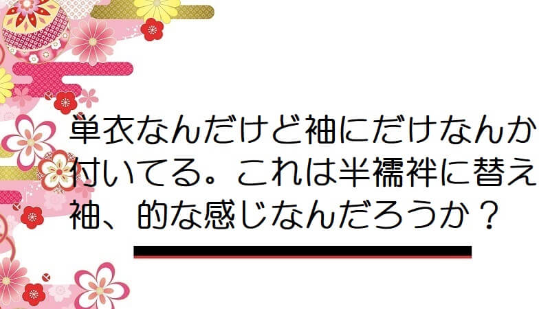 単衣なんだけど袖にだけなんか付いてる。これは半襦袢に替え袖、的な感じなんだろうか？