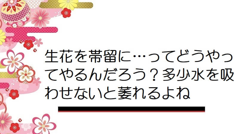 生花を帯留に…ってどうやってやるんだろう？多少水を吸わせないと萎れるよね