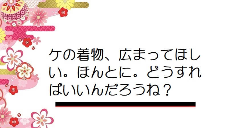 ケの着物、広まってほしい。ほんとに。どうすればいいんだろうね？