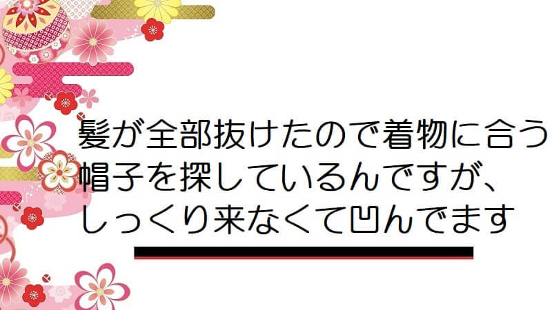 髪が全部抜けたので着物に合う帽子を探しているんですが、しっくり来なくて凹んでます