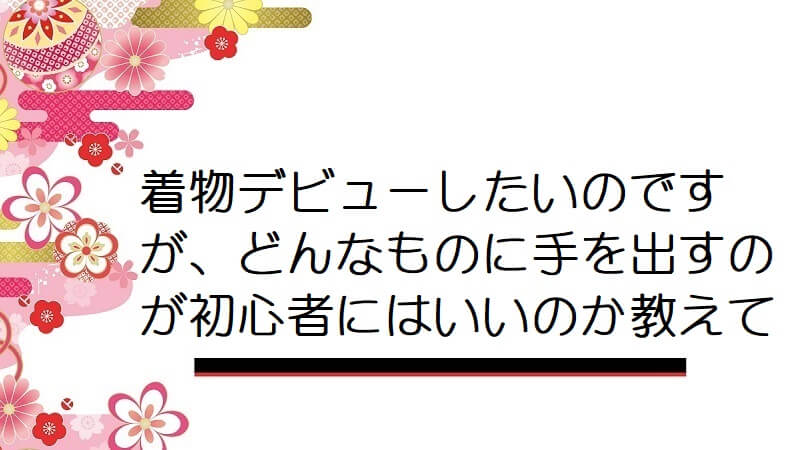 着物デビューしたいのですが、どんなものに手を出すのが初心者にはいいのか教えて