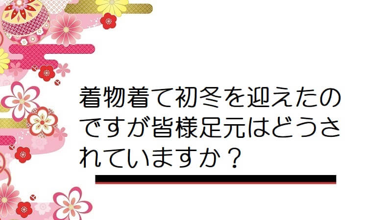 着物着て初冬を迎えたのですが皆様足元はどうされていますか？