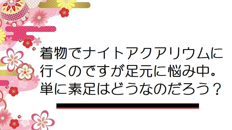 着物でナイトアクアリウムに行くのですが足元に悩み中。単に素足はどうなのだろう？