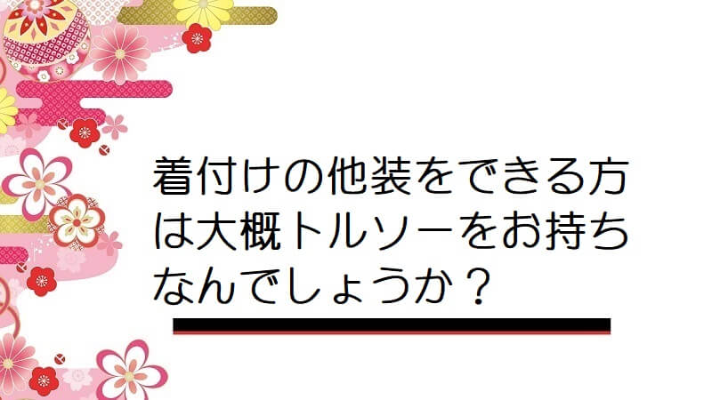 着付けの他装をできる方は大概トルソーをお持ちなんでしょうか？