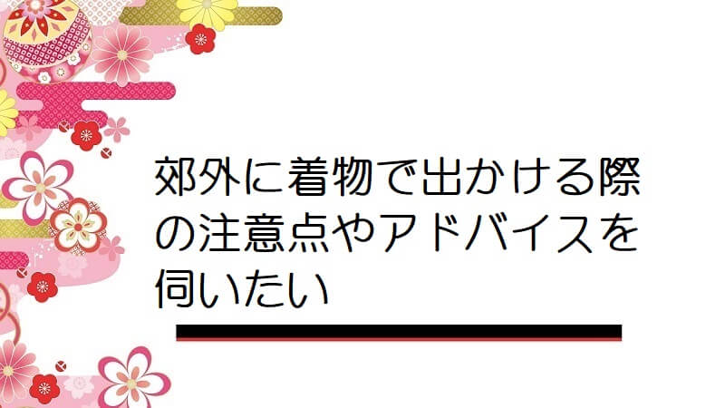 郊外に着物で出かける際の注意点やアドバイスを伺いたい