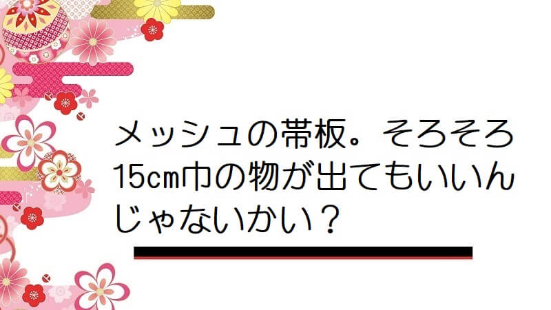 メッシュの帯板。そろそろ15cm巾の物が出てもいいんじゃないかい？