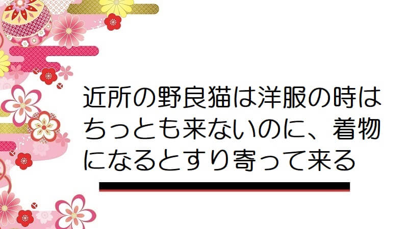 近所の野良猫は洋服の時はちっとも来ないのに、着物になるとすり寄って来る