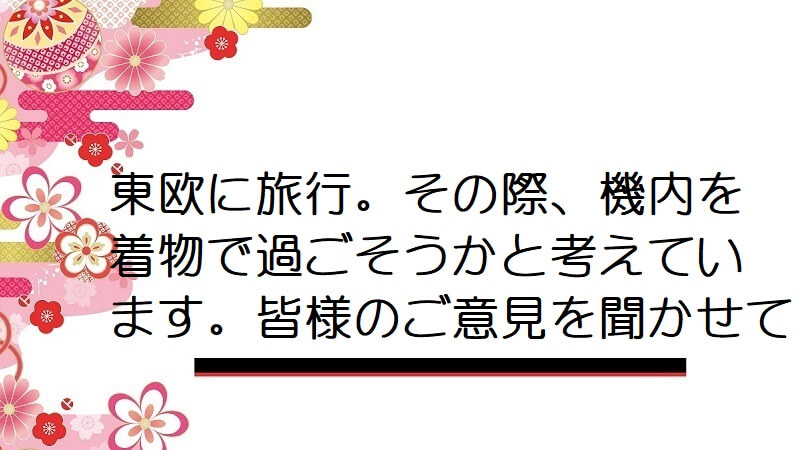 東欧に旅行。その際、機内を着物で過ごそうかと考えています。皆様のご意見を聞かせて