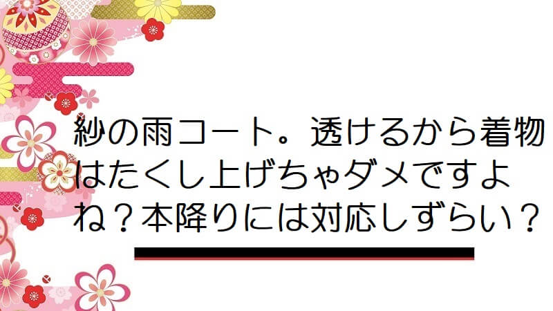 紗の雨コート。透けるから着物はたくし上げちゃダメですよね？本降りには対応しずらい？