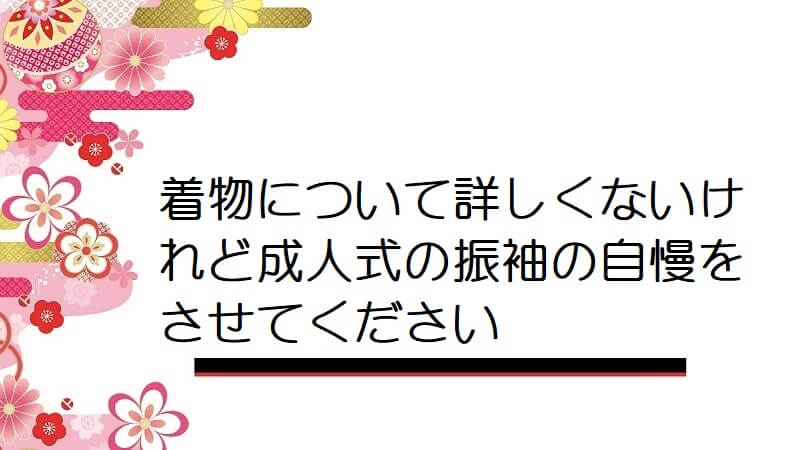 着物について詳しくないけれど成人式の振袖の自慢をさせてください