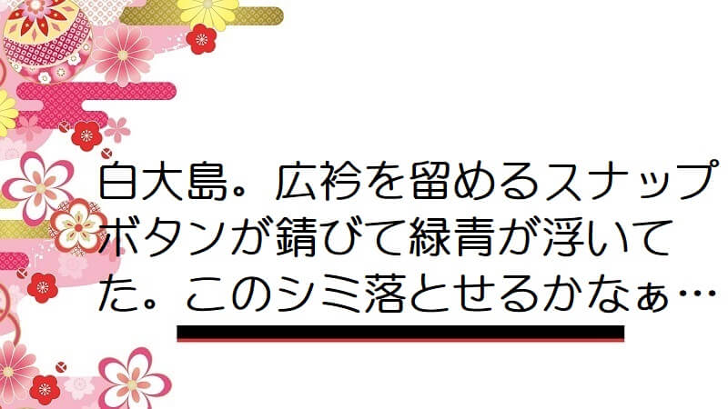 白大島。広衿を留めるスナップボタンが錆びて緑青が浮いてた。このシミ落とせるかなぁ…