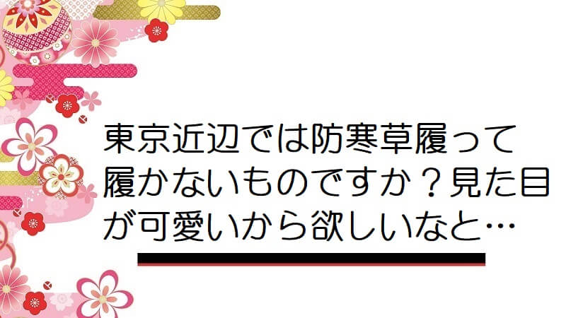 東京近辺では防寒草履って履かないものですか？見た目が可愛いから欲しいなと…