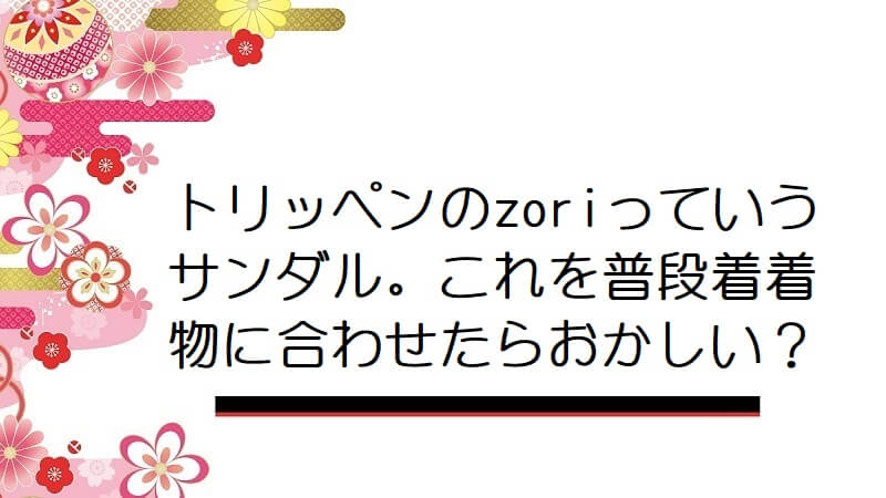 トリッペンのzoriっていうサンダル。これを普段着着物に合わせたらおかしい？