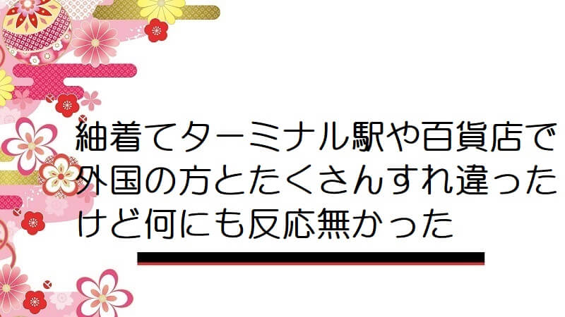 紬着てターミナル駅や百貨店で外国の方とたくさんすれ違ったけど何にも反応無かった