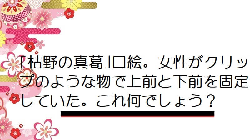 ｢枯野の真葛｣口絵｡女性がクリップのような物で上前と下前を固定していた｡これ何でしょう?