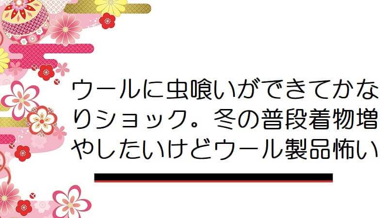 ウールに虫喰いができてかなりショック。冬の普段着物増やしたいけどウール製品怖い