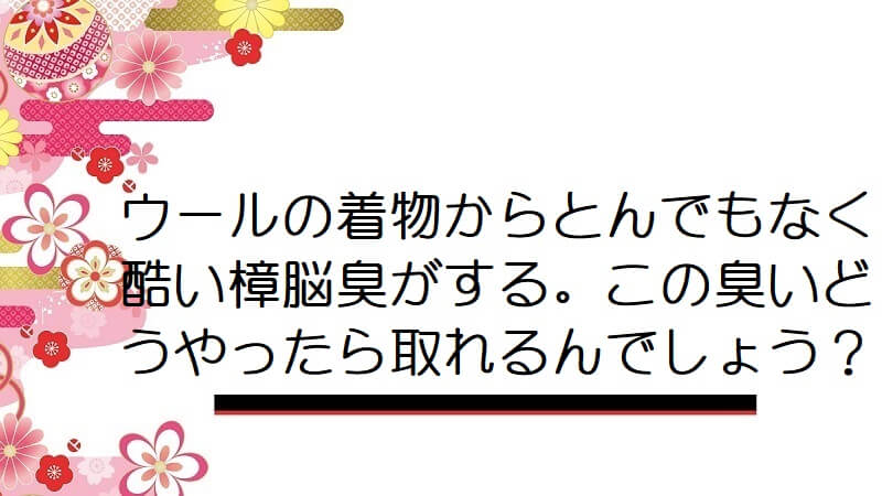 ウールの着物からとんでもなく酷い樟脳臭がする。この臭いどうやったら取れるんでしょう？